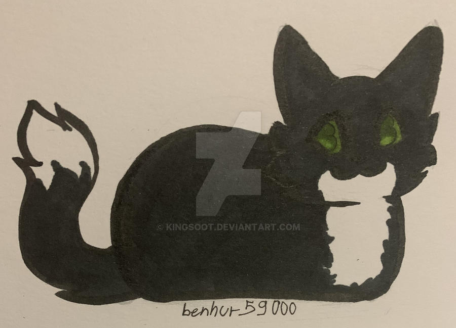 Maxwell the cat by KingSoot on DeviantArt