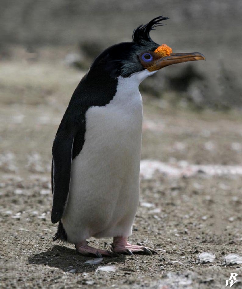 Threaded Penguin Tufted Penguin by Dwarf4r on DeviantArt