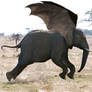 Flying Elephant