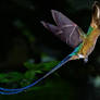 Hummingbat