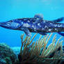 Barracuda-coelacanth