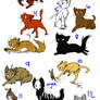 Cat Adoptables