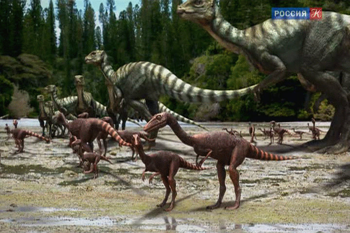 Timut Creature Timimus Mates by 2195Razielim on DeviantArt