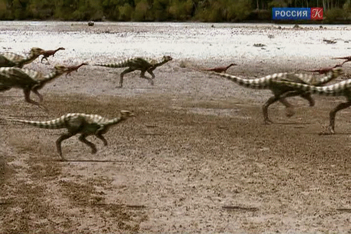 Qantassaurus And Timimus Stampede