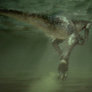 Baryonyx Swimming