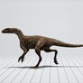Australovenator Wintonensis Walk Modle