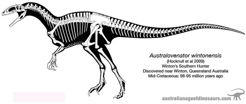 Australovenator Wintonensis Skeleton Drawing by 2195Razielim