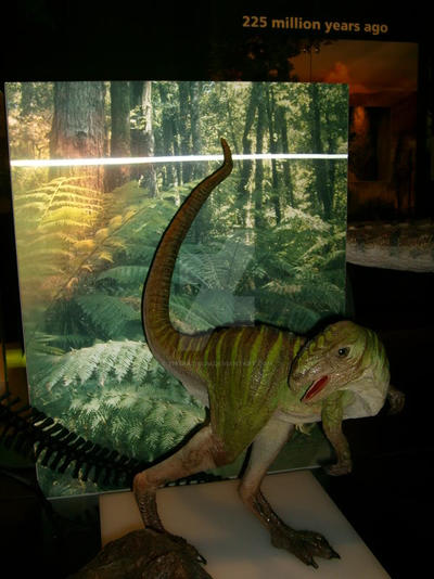 Qantassaurus model by 2195Razielim on DeviantArt