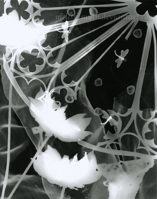 photogram