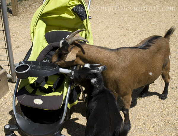 We Eat Strollers