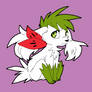 Day 3: Shaymin