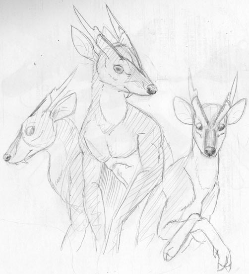 Weremuntjac Trio