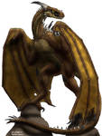 Wyvern by Nashoba-Hostina