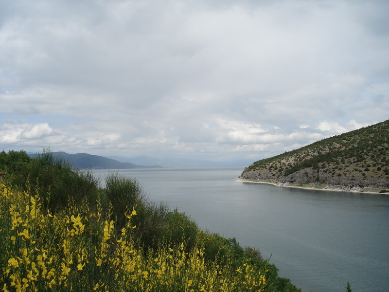 river meets the sea