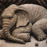 Resting Elephant