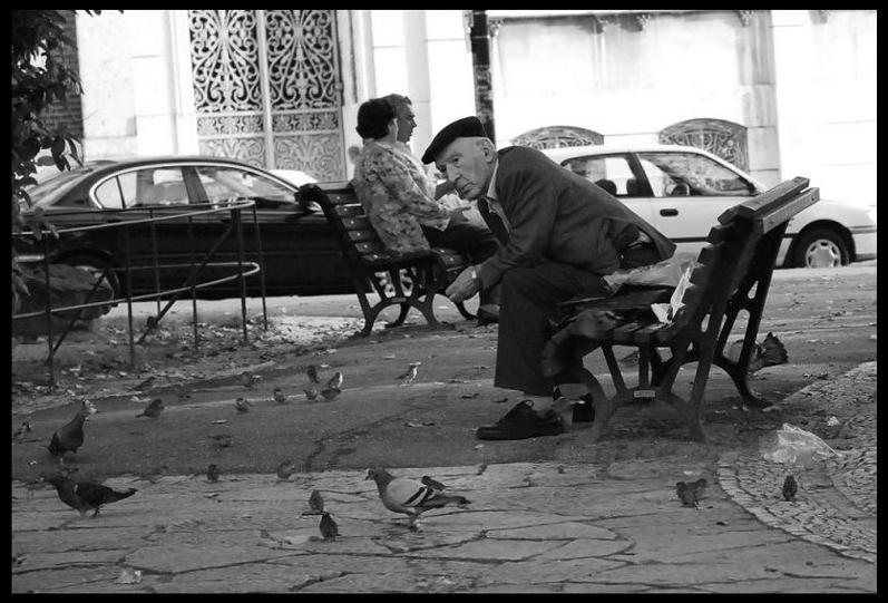 oldman with birds