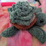 Succulent Turtle - pattern by Happy Turtle Crochet