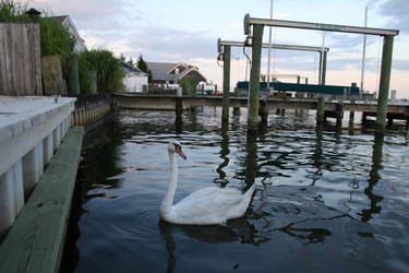 Barnegat Bay