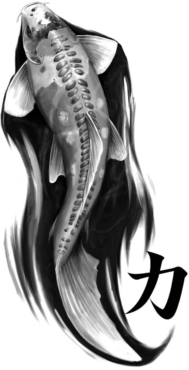 Koi Tattoo Design by stevegoad on DeviantArt