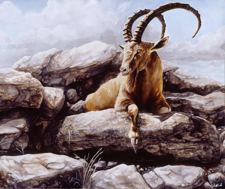 Ibex - Oil painting