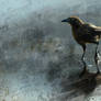 Bird In A Puddle