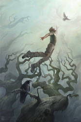 Illusion of Freedom