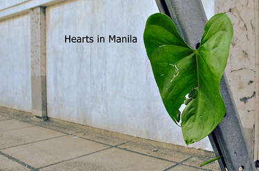 Hearts in Manila