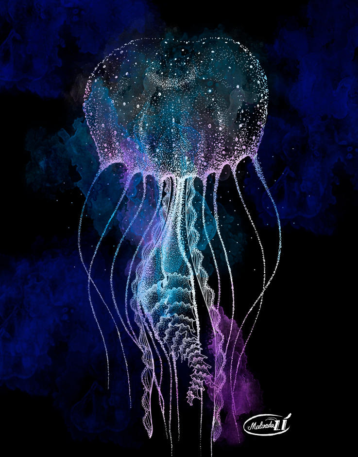 Jellyfish by Malvadali