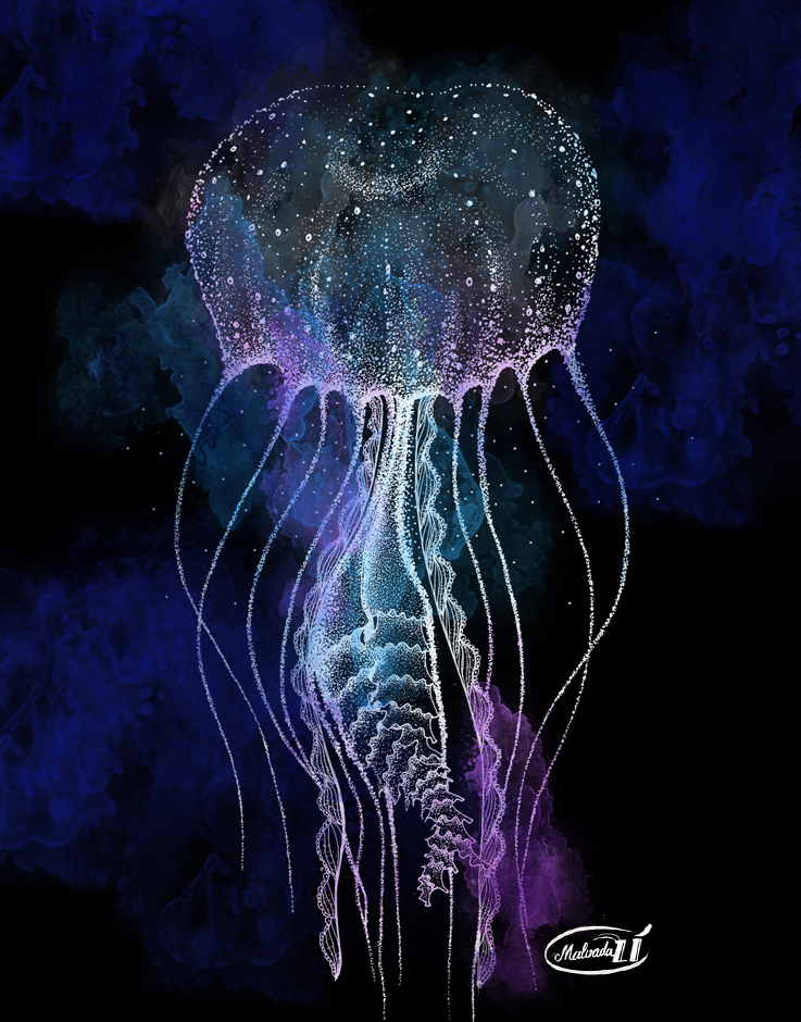 Jellyfish by Malvadali Jellyfish by Malvadali