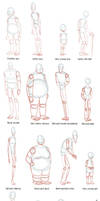 Body Shapes