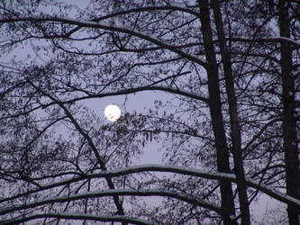 The moon on a wintery evening