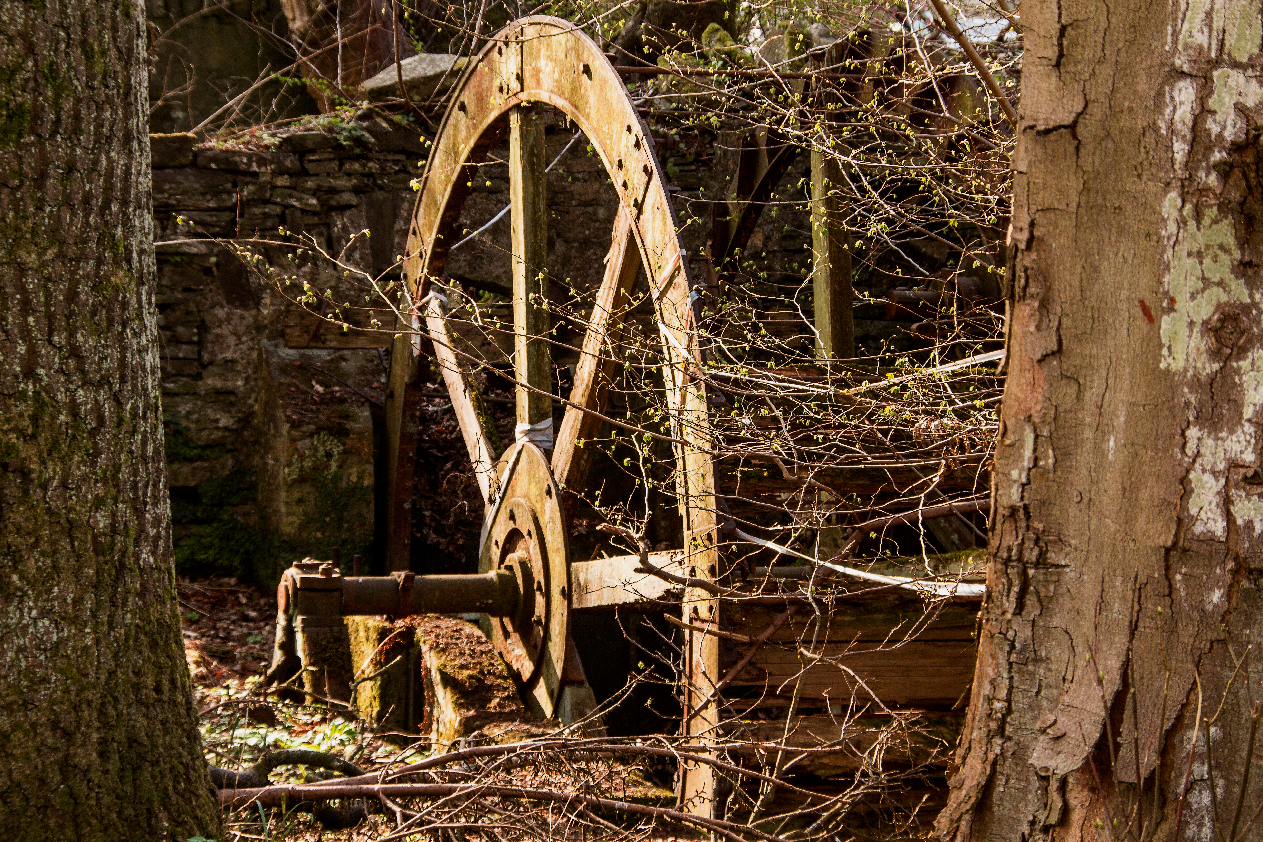 Old Watermill III