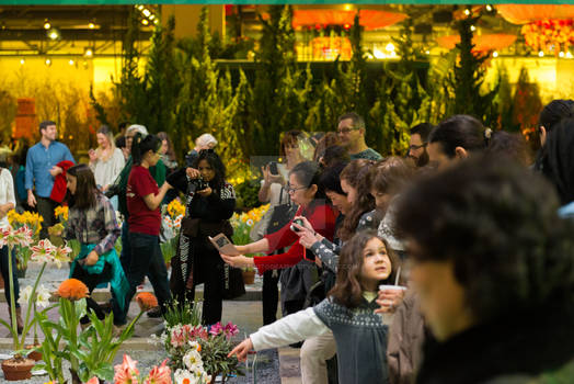 186th PHS Philadelphia Flower Show-37