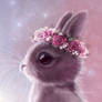 Fairy bunny