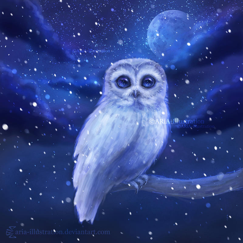 Winter owl