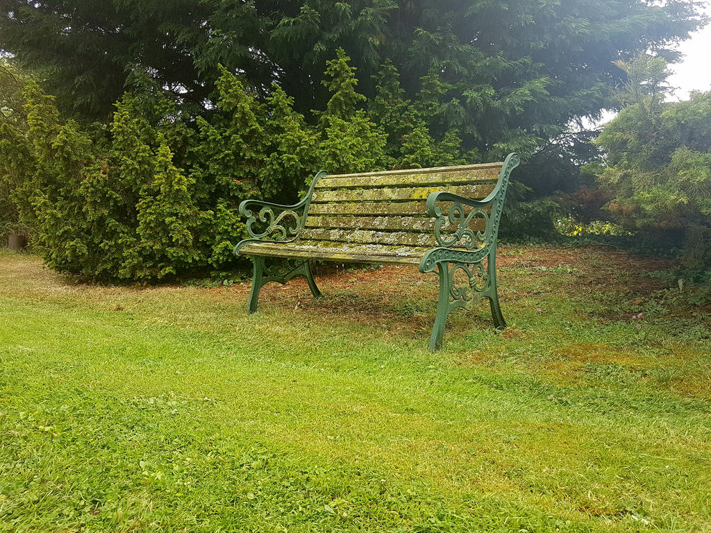 That Magic Bench by Scienceisnotfiction on DeviantArt