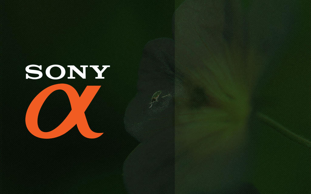 Sony Alpha Wallpaper By Flilot On Deviantart Sony Alpha Wallpaper By Flilot On Deviantart