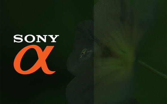 Sony Alpha Wallpaper