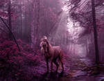 Off the Beaten Path by Emerald-Depths