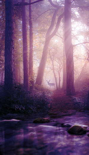 Morning Stroll by Emerald-Depths Morning Stroll by Emerald-Depths