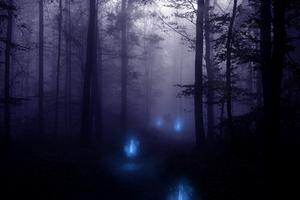 Will-o'-the-Wisps by Emerald-Depths Will-o'-the-Wisps by Emerald-Depths