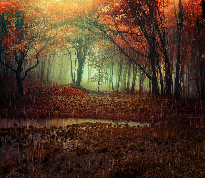 November Scenery Raining November Rain by Emerald-Depths on DeviantArt