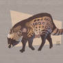 African Civet