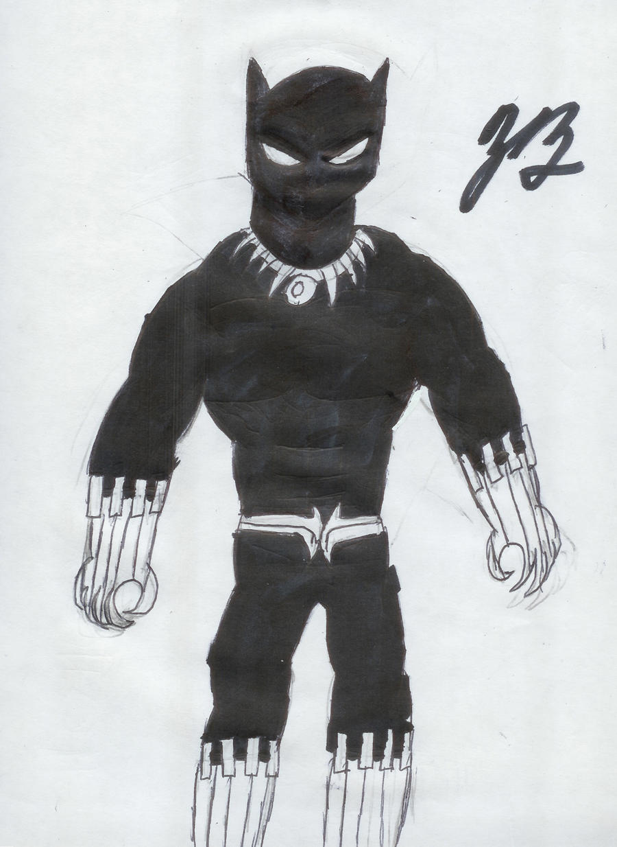 DSC Black Panther