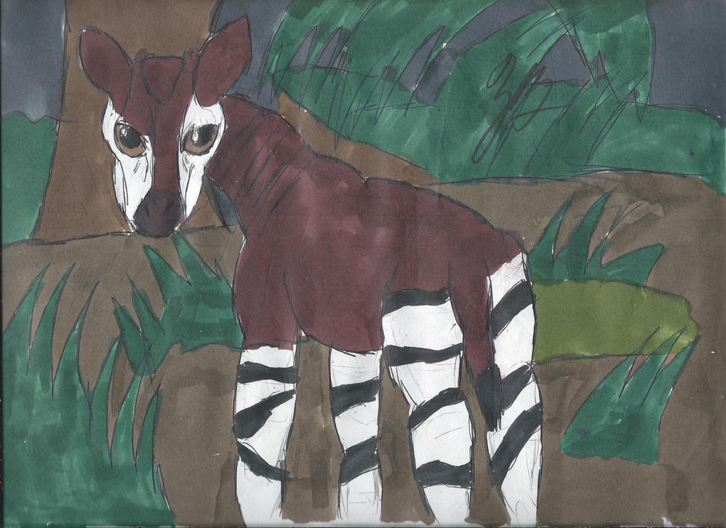The Okapi by TheProfBurg on DeviantArt