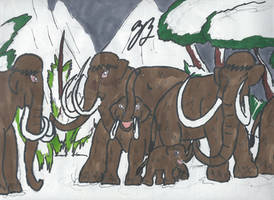 One Mammoth Happy Family