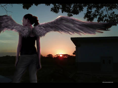 Dark angel - sunset