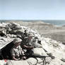 The British Army in North Africa, 1941