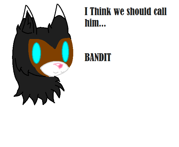 Bandit the wolf