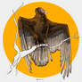 turkey vulture tattoo concept